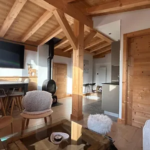 Apartment Roof Moutain View Direct Access Morzine Avoriaz, Montriond